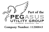 pegasus image